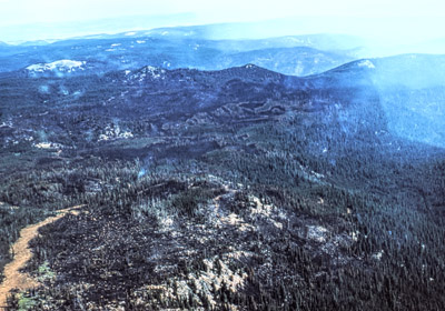 Anthony fire area - Aug 1960